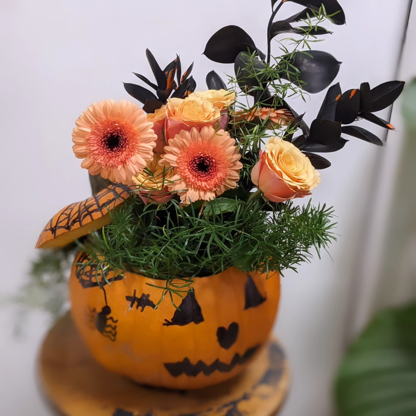Plante d'intérieur en pot, O'Belles Fleurs Chaponnay